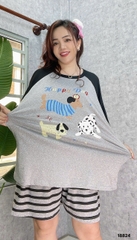 S-0020--18824- SS.3 Cho- 00188