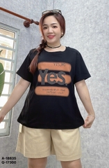 S-0030--18835- A.Yes 00231 - ĐEN