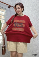 S-0030--18835- A.Yes 00231 - ĐỎ