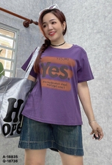 S-0030--18835- A.Yes 00231 TÍM