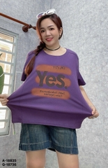 S-0030--18835- A.Yes 00231 TÍM