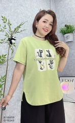S-0030--18839- A 4 Meo- 00231