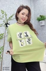 S-0030--18839- A 4 Meo- 00231