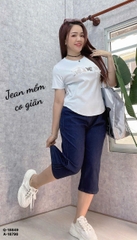 S-0020--18849- Q.Lửng sọc 00360