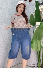S-0020--18862- Q.lửng 00372