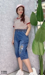 S-0020--18862- Q.lửng 00372
