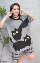 S-0020--18866- SS.3 Meo- 00188