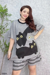 S-0020--18866- SS.3 Meo- 00188