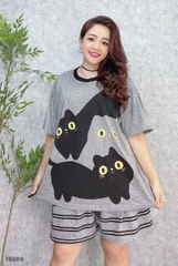 S-0020--18866- SS.3 Meo- 00188