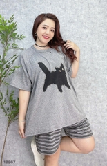 S-0020--18867- SS.Meo 00188