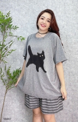S-0020--18867- SS.Meo 00188