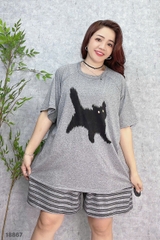 S-0020--18867- SS.Meo 00188