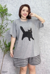S-0020--18867- SS.Meo 00188