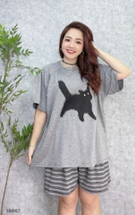 S-0020--18867- SS.Meo 00188