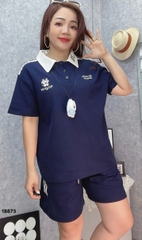 S-20--18873- Set polo MA 00480