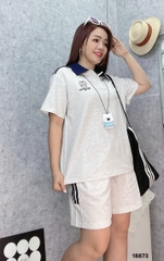 S-20--18873- Set polo MA 00480
