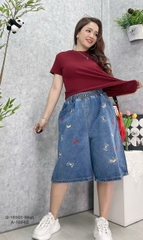 S-0020--18901- QS. 5t Cho- 00380 -Nhạt