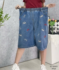 S-0020--18901- QS. 5t Cho- 00380 -Nhạt