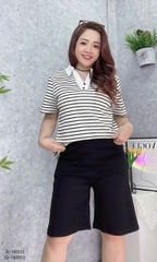 S-20--18902- QS. 5t trơn 00380