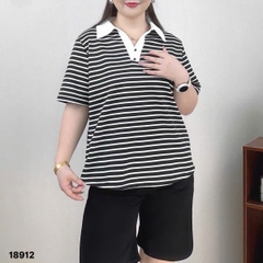 S-20--18912- A.Polo sọc 00260
