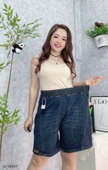 S-20--18917- QS lai mạc 00352
