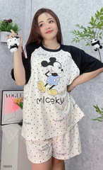 S-20--19001- SS.Micky 00188