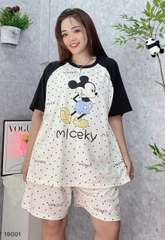 S-20--19001- SS.Micky 00188
