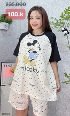 S-20--19001- SS.Micky 00188