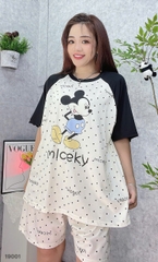 S-20--19001- SS.Micky 00188