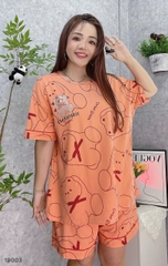 S-20--19003- SS.G- Cute 00188
