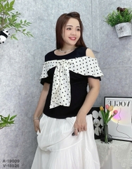 S-25--19009- A.R2V Bi 00297