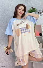 S-20--19015-SS Cho- CR 00188