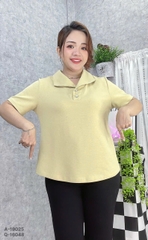 S-25--19025- A.Polo 2 nút 00285 VÀNG