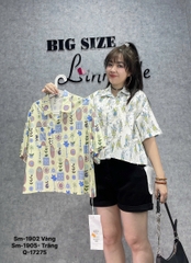 1905 SM.ngắn CG 00261