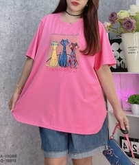 S-30--19066- Ao4. 3 Meo- 00252