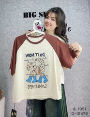 S-0030- 1951- A.Crop Tay ráp Meo- 00175