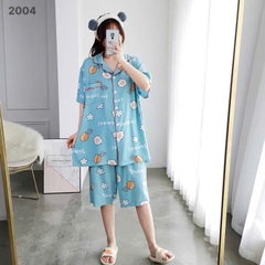 S-0020- 2004- ss.Pi 00336