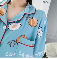 S-0020- 2004- ss.Pi 00336