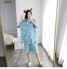 S-0020- 2004- ss.Pi 00336