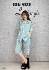 S-0020- 2004- ss.Pi 00336