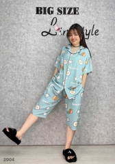 S-0020- 2004- ss.Pi 00336