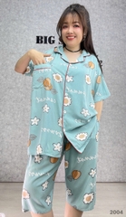 S-0020- 2004- ss.Pi 00336