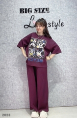 S-0020-2023 SD.4 ô Micky 00312