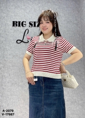 2079 A. Polo len sọc 00225