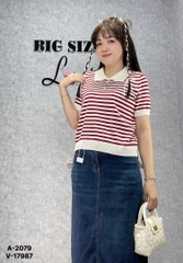 2079 A. Polo len sọc 00225