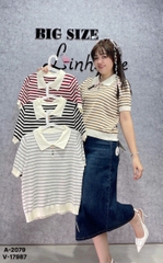 2079 A. Polo len sọc 00225