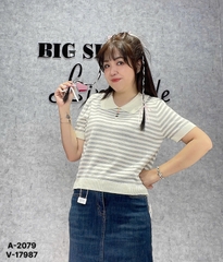 2079 A. Polo len sọc 00225