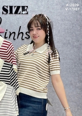 2079 A. Polo len sọc 00225