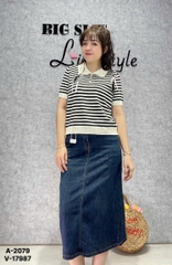 2079 A. Polo len sọc 00225
