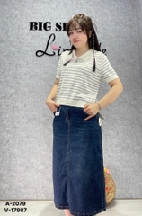 2079 A. Polo len sọc 00225